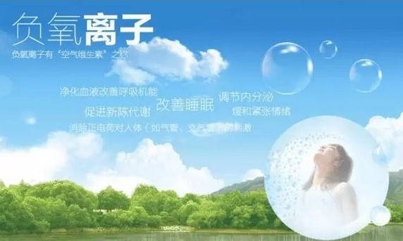 QQ截图20170323134843